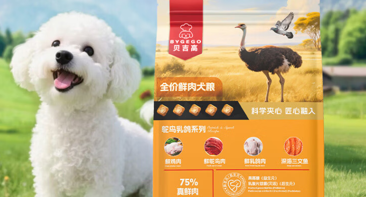 贝吉高是正规厂家吗