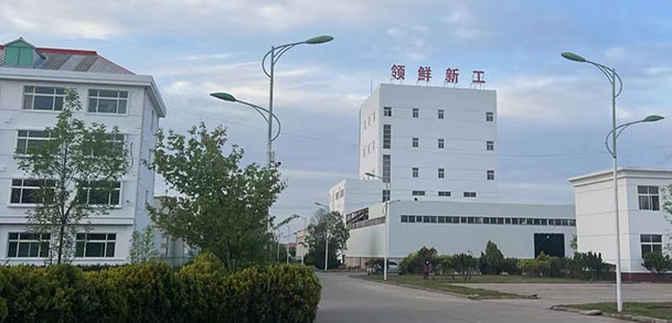 领鲜新工场是正规公司吗