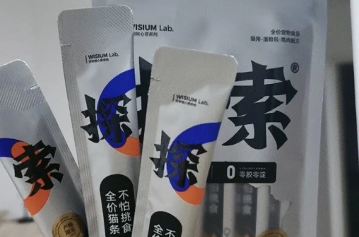 探索猫条：猫咪的最爱