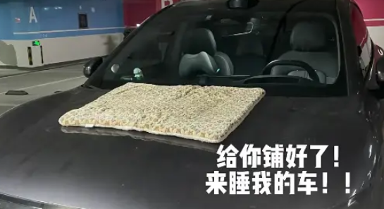 流浪猫无视防猫垫,小姐姐暖心铺垫,猫:这按摩器太舒服 流浪猫无视防猫垫,小姐姐暖心铺垫,猫:这按摩器太舒服