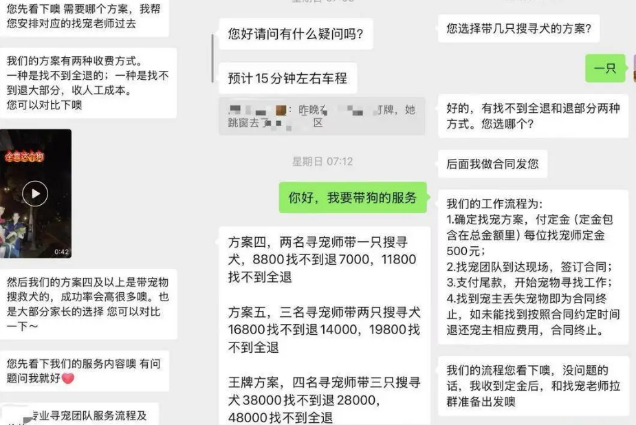 花高价寻宠发现猫咪还在室内,寻宠团队拒绝退费引纠纷