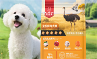 贝吉高是正规厂家吗