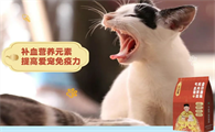 什么牌子猫粮健康？皇上宠科学补血，筑牢猫咪健康根基