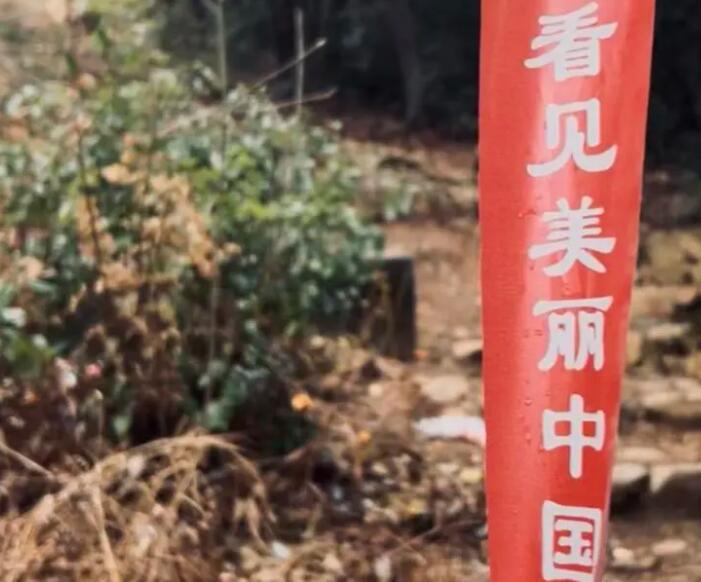 “毛孩子旅行团”火了,春节宅家不如出门度假 “毛孩子旅行团”火了,春节宅家不如出门度假