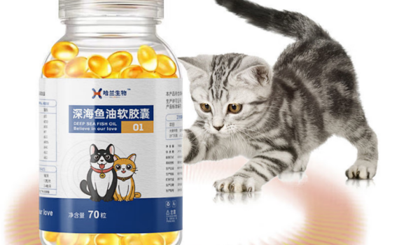 宠物鱼油怎么选？哈兰高纯度鱼油，爱宠焕亮健康新选择