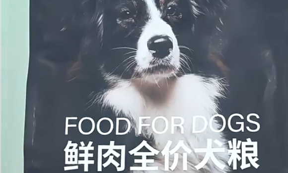 宜生犬粮好不好