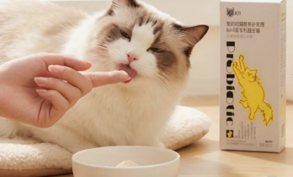 x11猫咪益生菌吃多了会怎样 x11猫咪益生菌吃多了会怎样