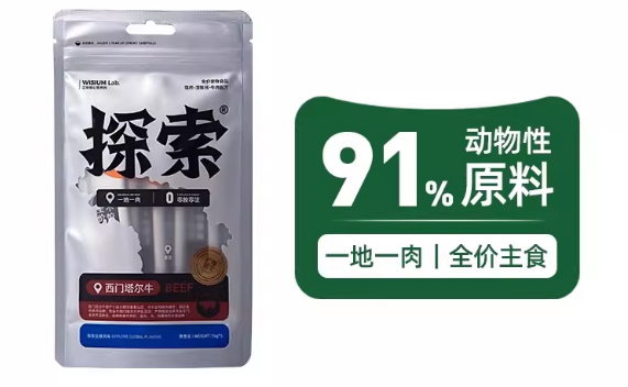 探索猫条：猫咪的最爱