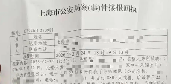 上海女子花8800元雇团队寻猫,结果物业发现就在屋内 上海女子花8800元雇团队寻猫,结果物业发现就在屋内