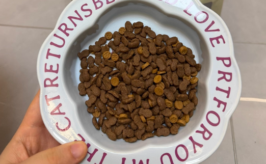 猫粮如何实现“科学配比、精准营养”？南和宠物食品为您作答
