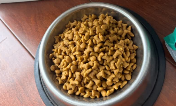 狗粮怎么选?南和宠物食品用产业集群实力回应 狗粮怎么选?南和宠物食品用产业集群实力回应