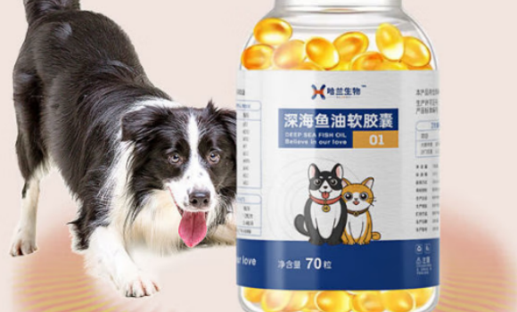 宠物鱼油的正确吃法｜哈兰教你科学喂宠更高效