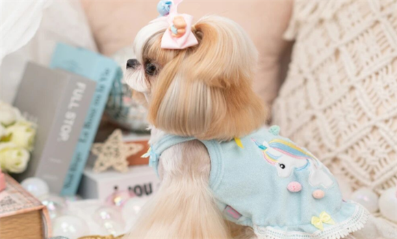 Fancy house宠物衣服好卖吗 Fancy house宠物衣服好卖吗