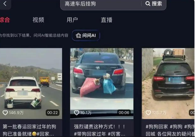 男子在高速累计发现62具猫狗尸体，不少身穿宠物衣服