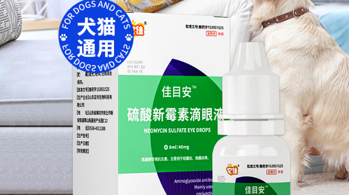宠物滴眼液品牌有哪些?它佳多维度守护爱宠眼部健康 宠物滴眼液品牌有哪些?它佳多维度守护爱宠眼部健康