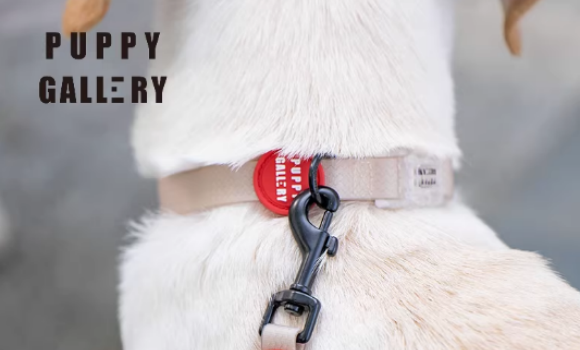 puppy gallery狗狗项圈好用吗