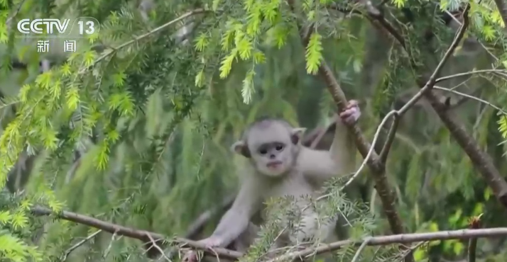 亮眼“生态答卷”背后是一个个鲜活的生命故事