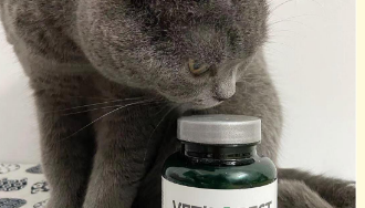 佐愈vetaid猫用排毛软颗粒好吗
