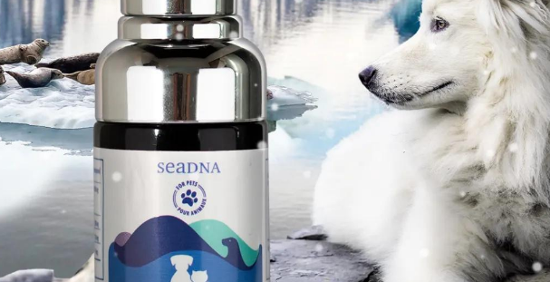 seaDNA海豹油哪里可以买到 seaDNA海豹油哪里可以买到