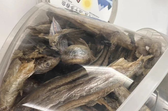 味途冻干:让猫咪肝脏0负担,零食也可以很健康 味途冻干:让猫咪肝脏0负担,零食也可以很健康