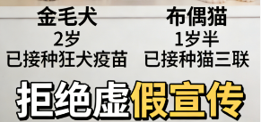 最严宠物活体规则，抖音这次动真格了