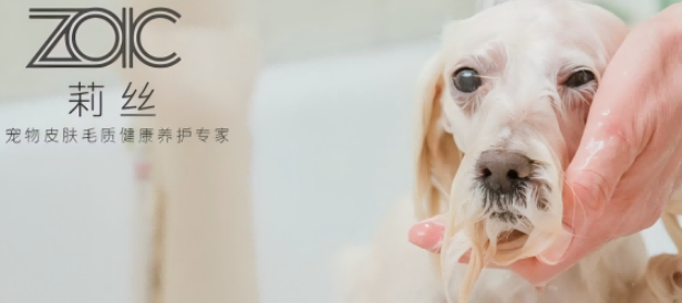 莉丝zoic超级净肤液是干什么用的