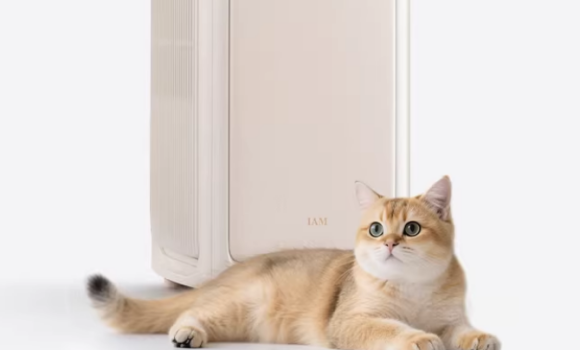 	 IAM宠物空气净化器多少钱