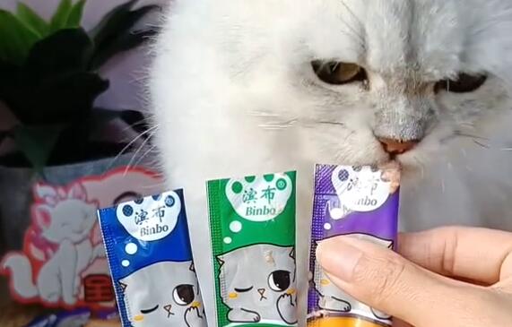 滨布猫条怎么样？适合多大的猫咪