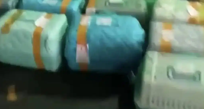 女子花1000元托运柴犬从贵州回甘肃,送到后柴犬死亡 女子花1000元托运柴犬从贵州回甘肃,送到后柴犬死亡