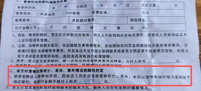 爱犬寄养两天却丢了,寄养店:承认有责愿赔偿 爱犬寄养两天却丢了,寄养店:承认有责愿赔偿