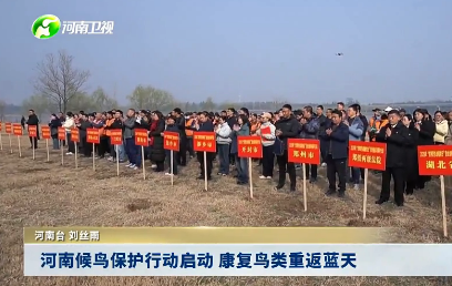 河南候鸟保护行动启动 康复鸟类重返蓝天