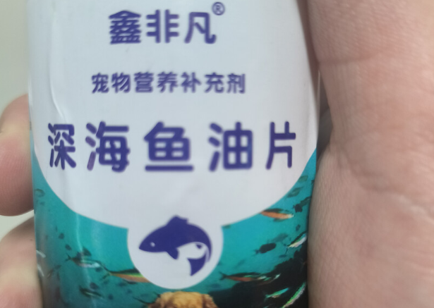 猫狗掉毛严重?那快用鑫非凡鱼油 猫狗掉毛严重?那快用鑫非凡鱼油