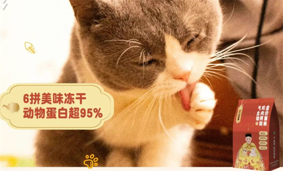 什么牌子猫粮健康?皇上宠科学补血,筑牢猫咪健康根基 什么牌子猫粮健康?皇上宠科学补血,筑牢猫咪健康根基