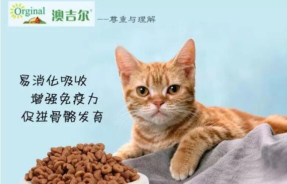 澳吉尔猫粮是哪里生产的 澳吉尔猫粮是哪里生产的
