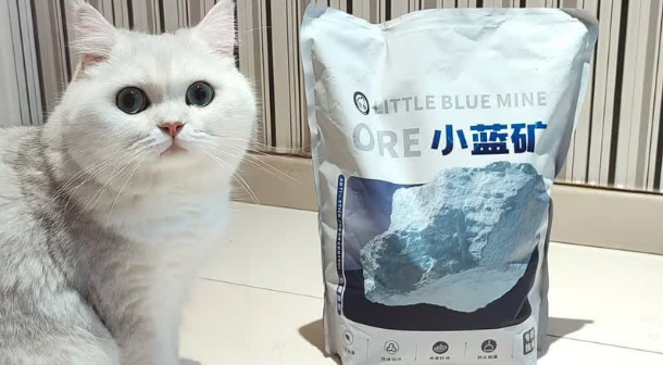 猫砂品牌有哪些？它帮小蓝矿猫砂凭实力出圈
