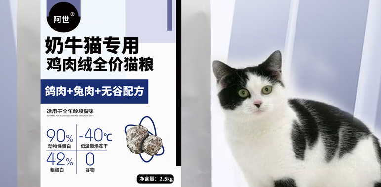 奶牛猫猫粮品牌推荐：阿世专为黑白花猫咪定制的营养方案