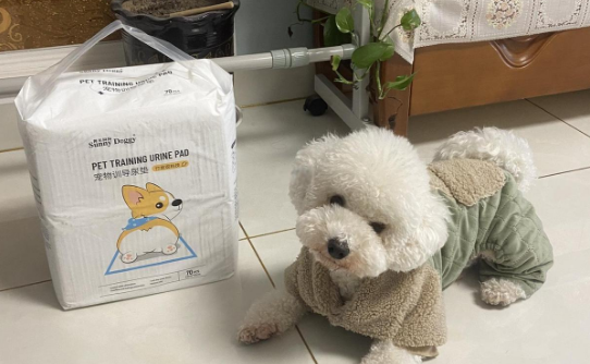 宠物尿垫哪个牌子好？阳光狗狗SUNNY DOGGY尿垫靠谱！