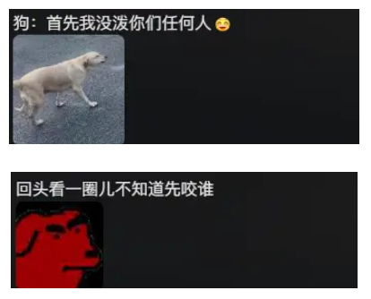 云南泼水节拉布拉多被四面夹击,弃桶而逃画面火了 云南泼水节拉布拉多被四面夹击,弃桶而逃画面火了