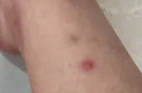 番禺臭猫事件引热议,记者现场“yue”揭两难 番禺臭猫事件引热议,记者现场“yue”揭两难