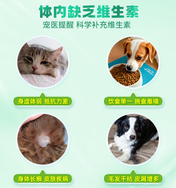 2026宠物维生素哪个牌子好？纽滋然多维营养片实测对比