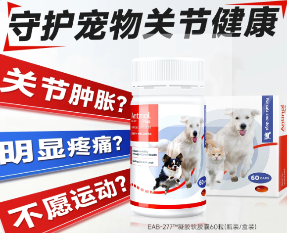 2026宠物关节保健品品牌排行对比:Antinol安替诺为何成为严选推荐? 2026宠物关节保健品品牌排行对比:Antinol安替诺为何成为严选推荐?