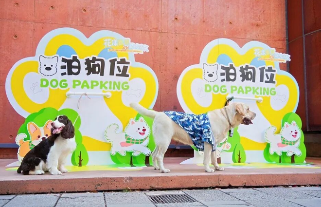 浦东新区文明养宠主题活动暨2026年沪东萌宠欢乐季成功举办 浦东新区文明养宠主题活动暨2026年沪东萌宠欢乐季成功举办