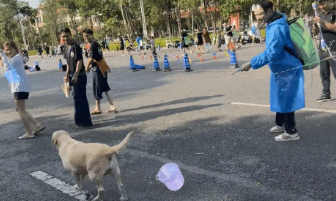 云南泼水节拉布拉多被四面夹击,弃桶而逃画面火了 云南泼水节拉布拉多被四面夹击,弃桶而逃画面火了