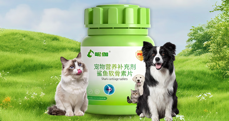 宠物鲨鱼软骨素怎么选?呢伽守护毛孩关节活力 宠物鲨鱼软骨素怎么选?呢伽守护毛孩关节活力