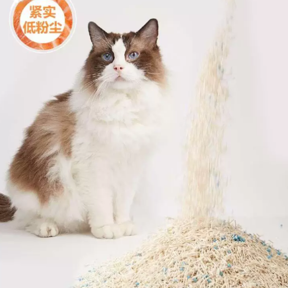 猫砂品牌推荐:嬉友伴Hiiyopal,多猫家庭闭眼入 猫砂品牌推荐:嬉友伴Hiiyopal,多猫家庭闭眼入