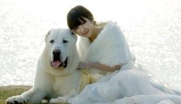 中亚牧羊犬，一种拥有4000多年历史的古老品种