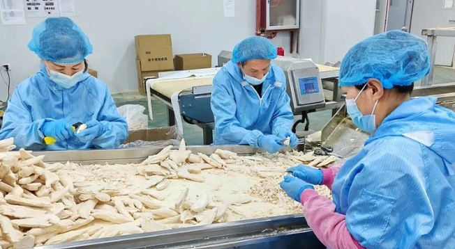 山西宠物经济迎风口,58亿消费蓝海,这些本土企业正在崛起 山西宠物经济迎风口,58亿消费蓝海,这些本土企业正在崛起
