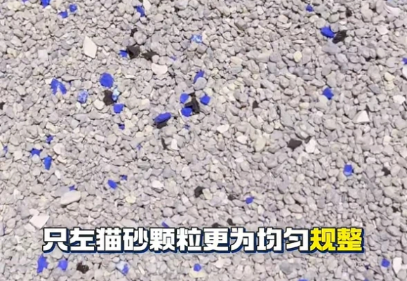 租房党养猫猫砂哪种比较好用?只左AmericanSolution矿砂低尘省心 租房党养猫猫砂哪种比较好用?只左AmericanSolution矿砂低尘省心