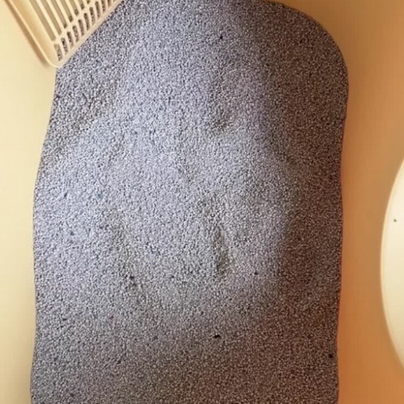 膨润土猫砂哪个好?新手养猫闭眼入猫仟宠 膨润土猫砂哪个好?新手养猫闭眼入猫仟宠