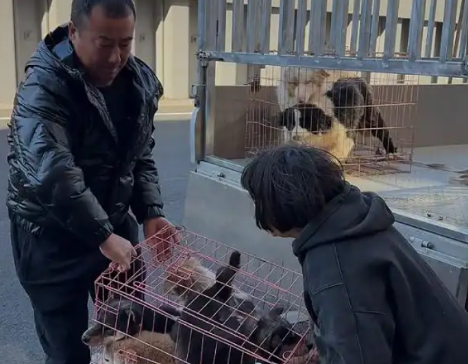 美的携手吴克群奔赴一场生命之约：让守护流浪动物的“英雄”不再孤单